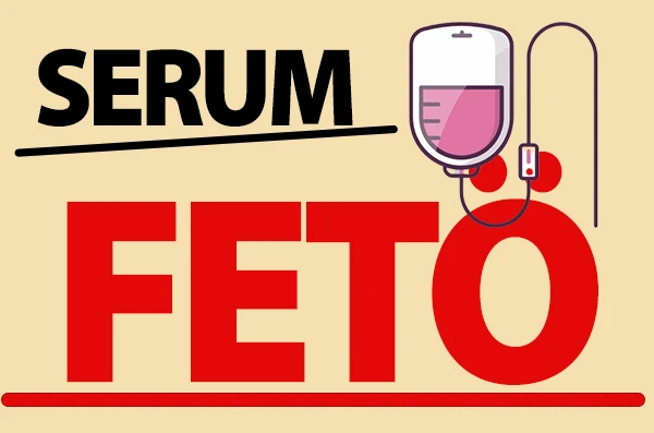 SERUM: FETÖ