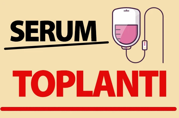 TOPLANTI