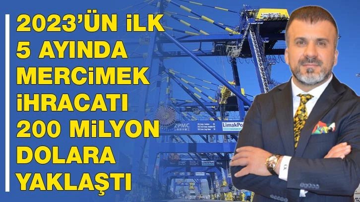 2023’ün ilk 5 ayında mercimek ihracatı 200 milyon dolara yaklaştı