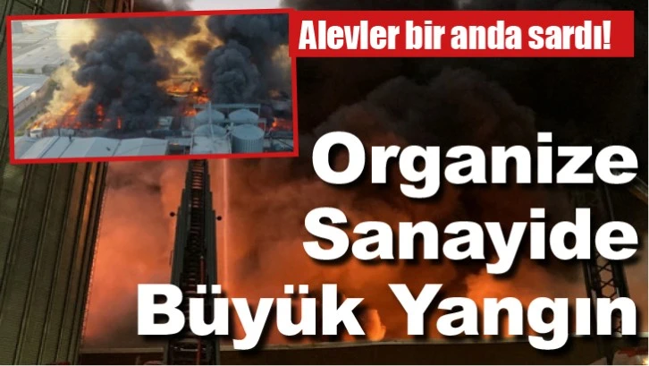 Alevler bir anda sardı! Organize Sanayide Büyük Yangın