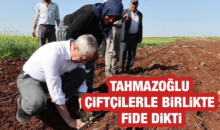 BAŞKAN TAHMAZOĞLU ÇİFTÇİLERLE BİRLİKTE FİDE DİKTİ