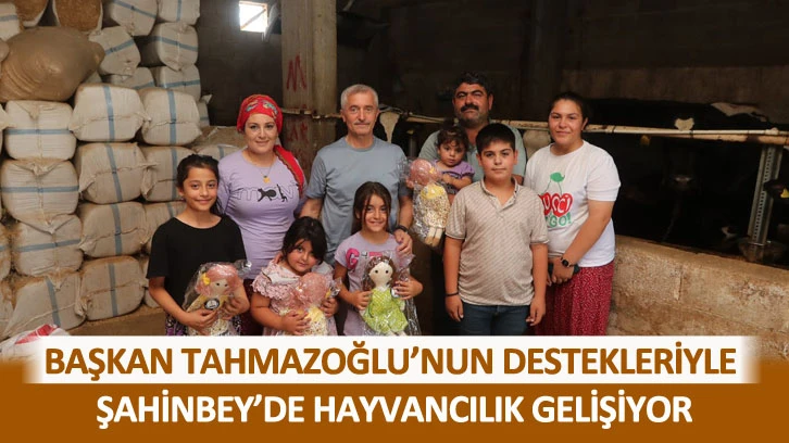 BAŞKAN TAHMAZOĞLU’NUN DESTEKLERİYLE ŞAHİNBEY’DE HAYVANCILIK GELİŞİYOR