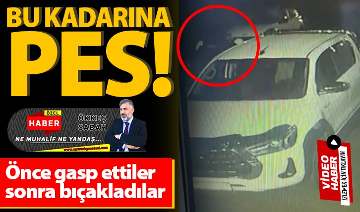 Bu kadarına pes! 