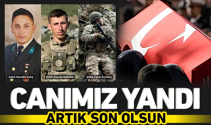 Canımız yandı artık son olsun