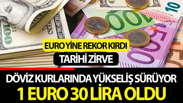 Döviz Kurlarında Yükseliş Sürüyor: 1 Euro 30 Lira Oldu