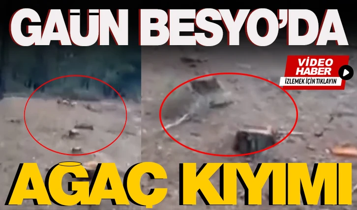 GAÜN BESYO’da ağaç kıyımı