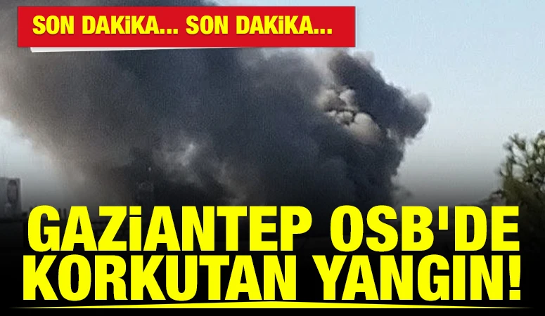 Gaziantep OSB’de Korkutan Yangın!