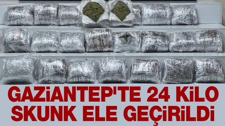 Gaziantep'te 24 kilo Skunk ele geçirildi