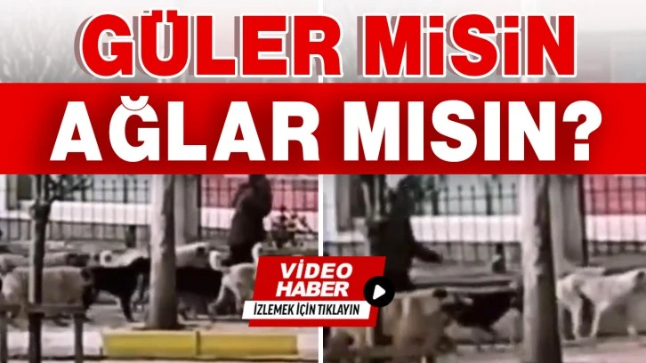 GÜLER MİSİN AĞLAR MISIN?