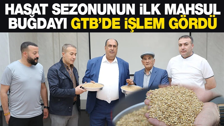 HASAT SEZONUNUN İLK MAHSUL BUĞDAYI GTB’DE İŞLEM GÖRDÜ