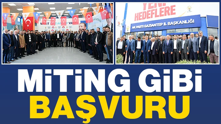 MİTİNG GİBİ BAŞVURU