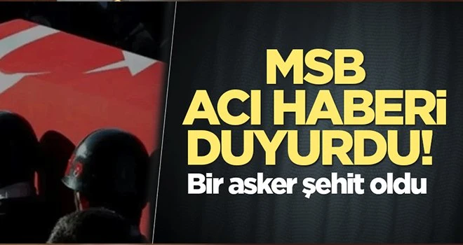 MSB acı haberi duyurdu! 1 asker şehit oldu