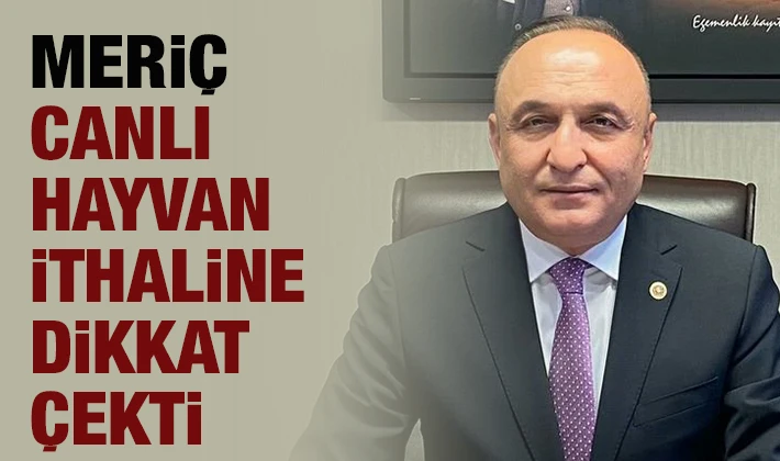 MERİÇ CANLI HAYVAN İTHALİNE DİKKAT ÇEKTİ