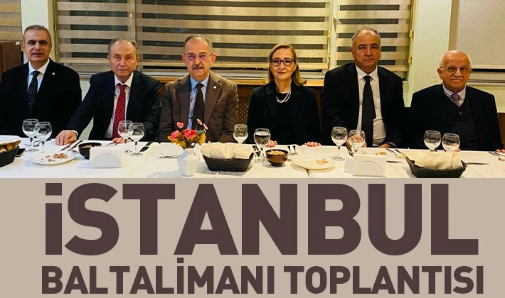 İSTANBUL BALTALİMANI TOPLANTISI