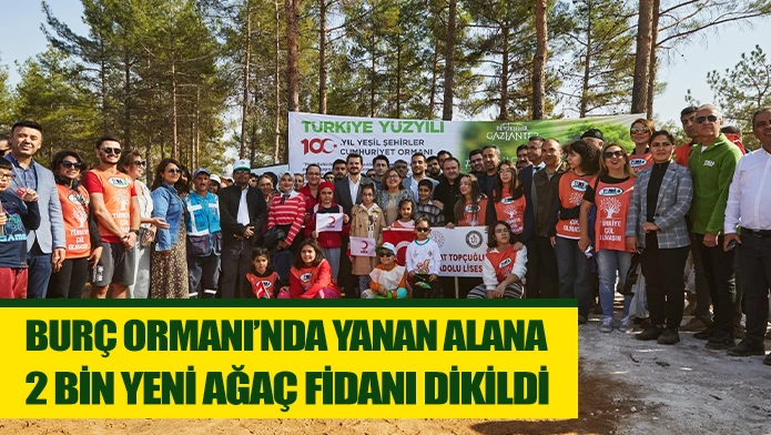 BURÇ ORMANI’NDA YANAN ALANA  2 BİN YENİ AĞAÇ FİDANI DİKİLDİ  