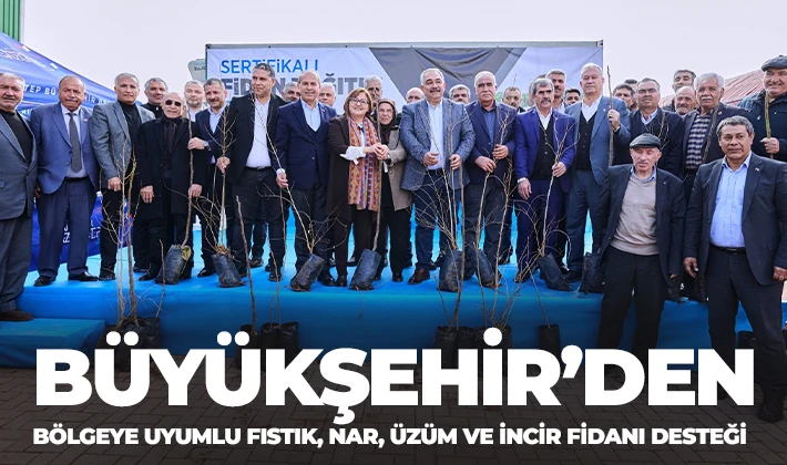 BÜYÜKŞEHİR’DEN BÖLGEYE UYUMLU FISTIK, NAR, ÜZÜM VE İNCİR FİDANI DESTEĞİ