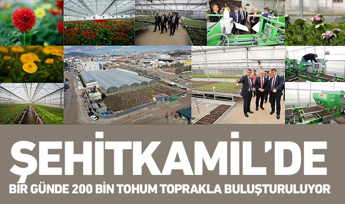 ŞEHİTKAMİL’DE BİR GÜNDE 200 BİN TOHUM TOPRAKLA BULUŞTURULUYOR