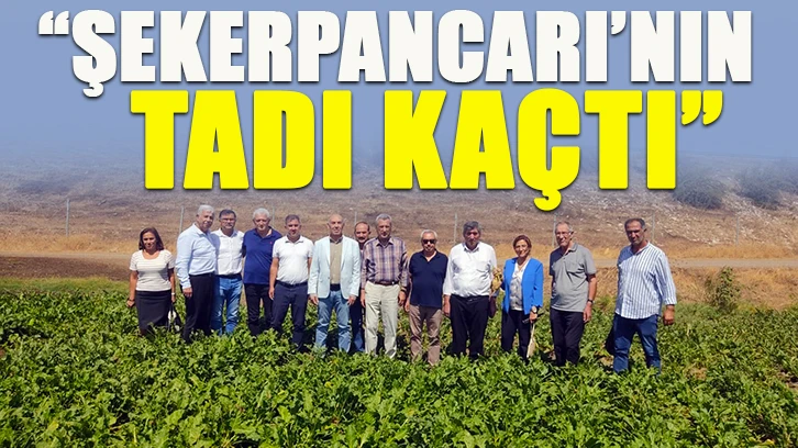 “ŞEKERPANCARI’NIN TADI KAÇTI”