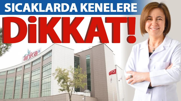 Sıcaklarda kenelere dikkat!