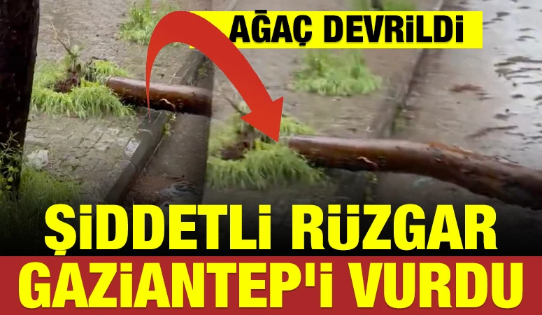 Şiddetli R&uuml;zgar Gaziantep&rsquo;i Vurdu: Ağa&ccedil; Devrildi