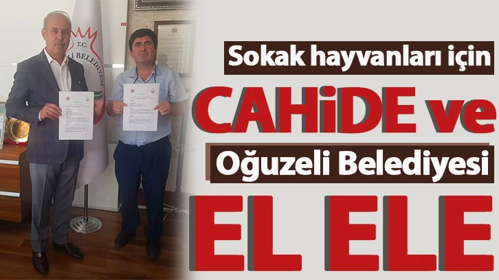 Sokak hayvanları için CAHİDE ve Oğuzeli Belediyesi el ele