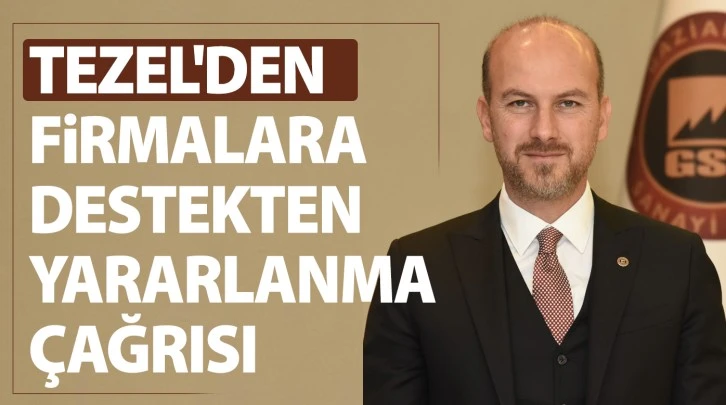 Tezel'den firmalara destekten yararlanma çağrısı