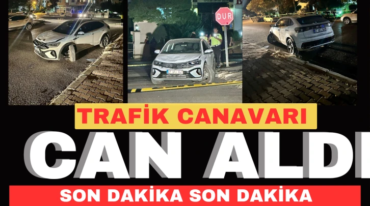 Trafik canavarı can aldı