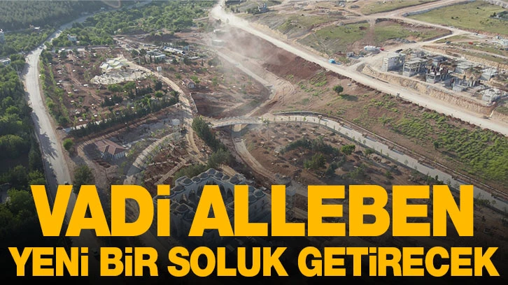 VADİ ALLEBEN, YENİ BİR SOLUK GETİRECEK