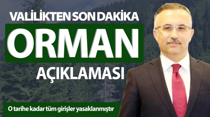 Valilikten son dakika orman açıklaması 