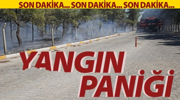 Yangın paniği