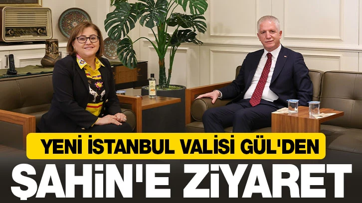 YENİ İSTANBUL VALİSİ GÜL'DEN ŞAHİN'E ZİYARET