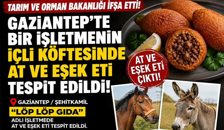 Bakanlık Açıkladı: Gaziantep’te Bir İşletmede At ve Eşek Eti Tespiti