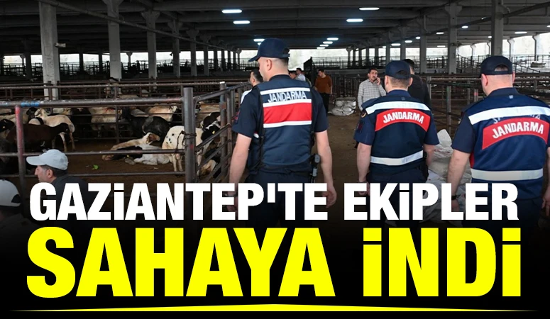 Gaziantep&rsquo;te ekipler sahaya indi