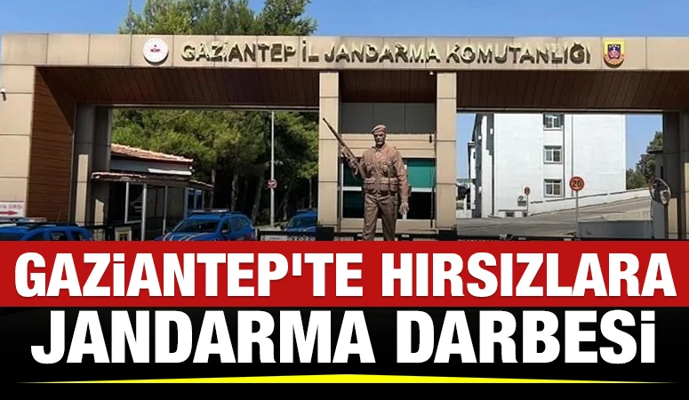 Gaziantep'te Hırsızlara Jandarma Darbesi