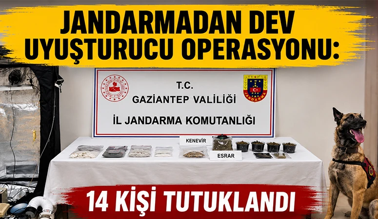Jandarmadan dev uyuşturucu operasyonu: 14 kişi tutuklandı