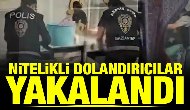Nitelikli dolandırıcılar yakalandı