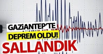 AFAD duyurdu: Yine sallandık