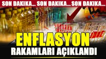 Ağustos ayı enflasyon rakamları açıklandı