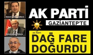 AK PARTİ GAZİANTEP'TE DAĞ FARE DOĞURDU