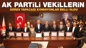 AK Partili vekillerin görev yapacağı komisyonlar belli oldu 