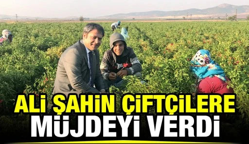 Ali Şahin çiftçilere müjdeyi verdi