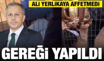 Ali Yerlikaya affetmedi: Gereği yapıldı