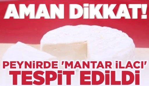 Aman dikkat! Peynirde 'mantar ilacı' tespit edildi