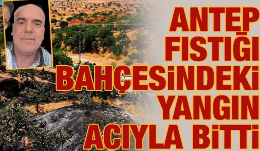 Antep Fıstığı Bah&ccedil;esindeki Yangın Acıyla Bitti