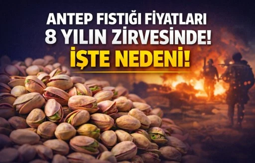 Antep Fıstığında Rekor Artış! 8 Yılın Zirvesi G&ouml;r&uuml;ld&uuml;! İşte Nedeni..