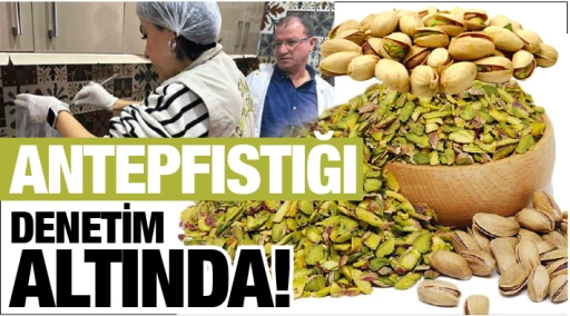 Antepfıstığı denetim altında!