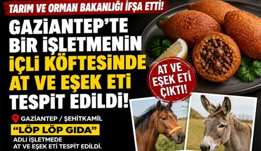 Bakanlık A&ccedil;ıkladı: Gaziantep&rsquo;te Bir İşletmede At ve Eşek Eti Tespiti