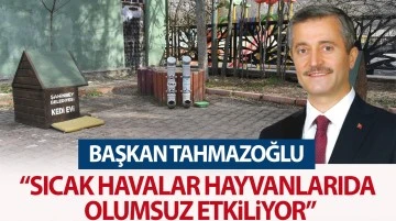 BAŞKAN TAHMAZOĞLU “SICAK HAVALAR HAYVANLARIDA OLUMSUZ ETKİLİYOR”