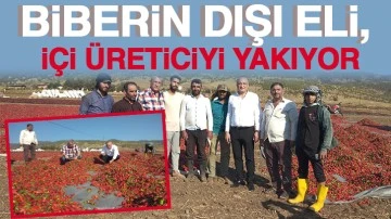 BİBERİN DIŞI ELİ, İÇİ ÜRETİCİYİ YAKIYOR