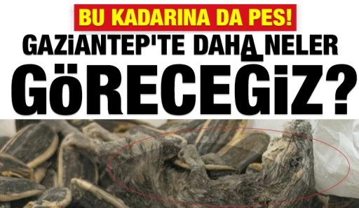 Bu kadarına da pes! Gaziantep&rsquo;te Daha Neler G&ouml;receğiz?